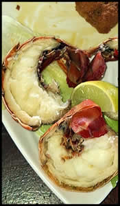 The Blue Coconut Bocas del Toro, Panama | Sunday BBQ, Resturant and Bar, snorkeling, Filthy Fridays